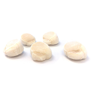 Coquilles 10/20 scallops DV - zak 1 kg